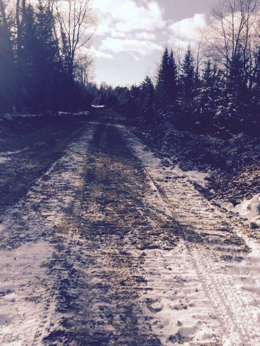 WentworthHalbinselStrasse (7)